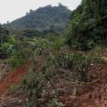 Longsor di Temanggung Jawa Tengah, Satu Orang Meninggal