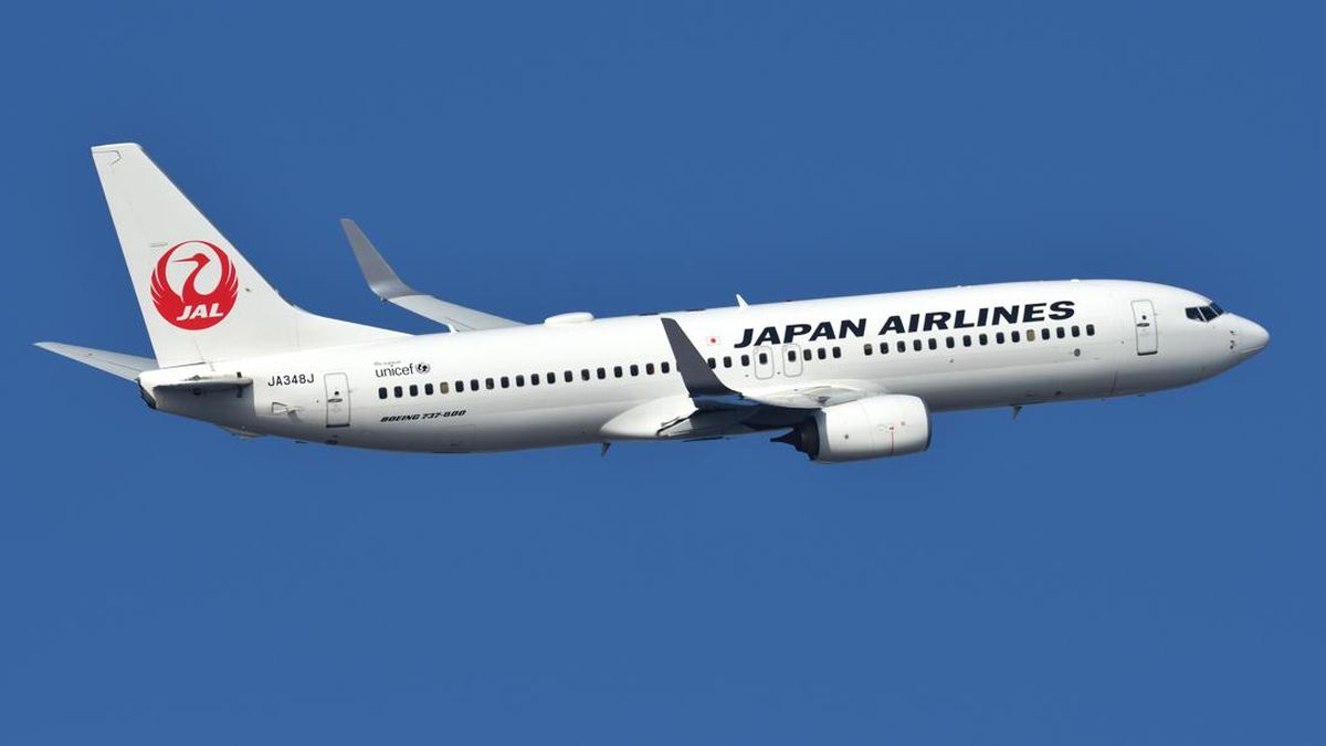 Japan Airlines Diserang Hacker, Penerbangan Terganggu